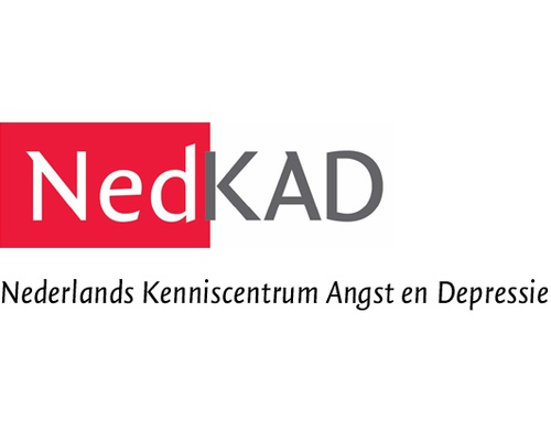 Reimbursement for rTMS treatment of depression in the Netherlands