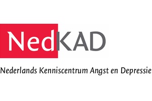 Reimbursement for rTMS treatment of depression in the Netherlands
